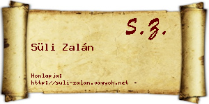 Süli Zalán névjegykártya